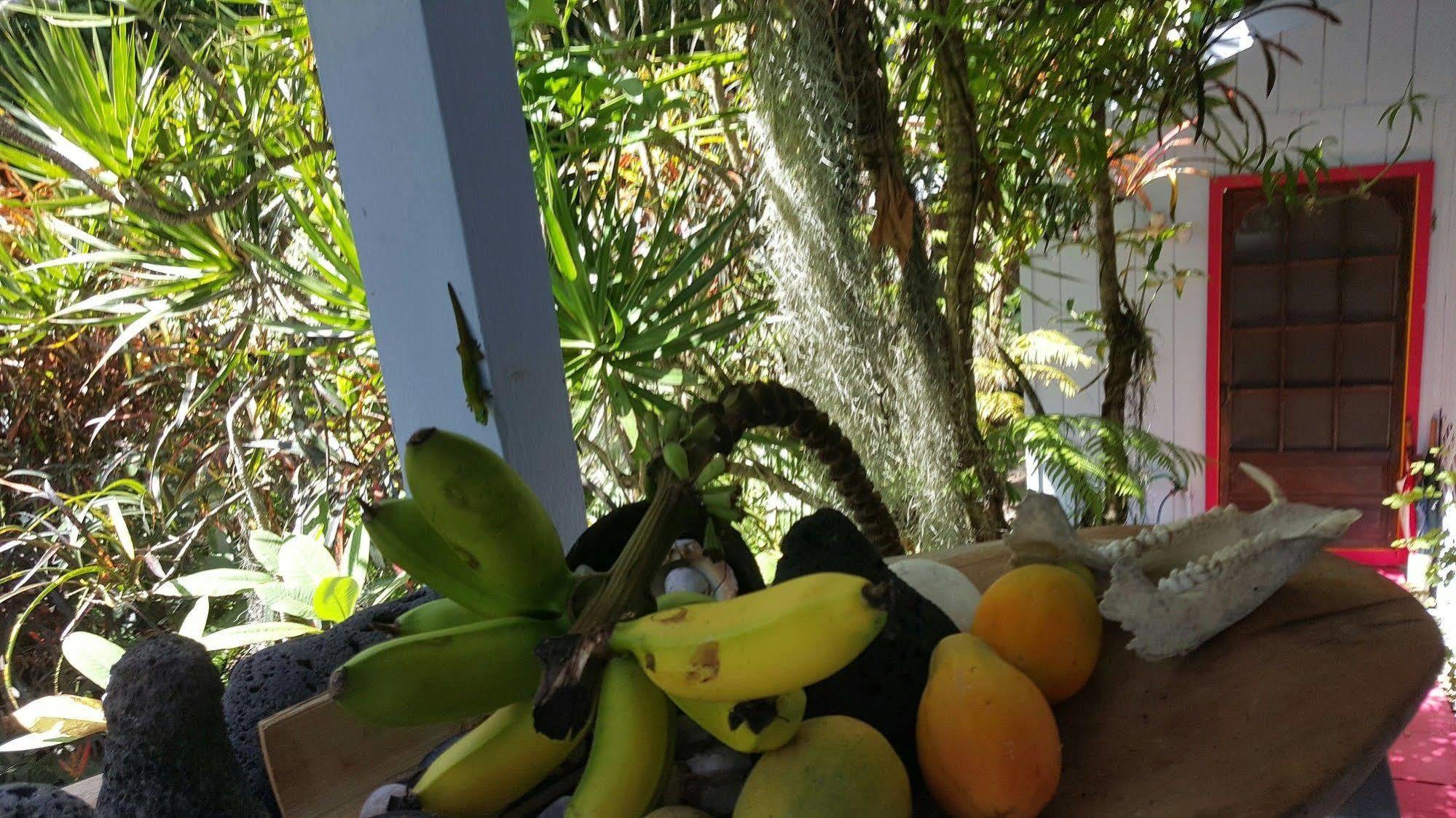 Pahoa Ma'Ukele Lodge מראה חיצוני תמונה